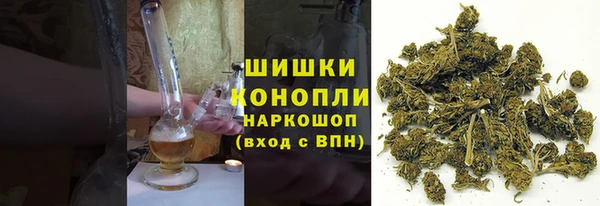 PSILOCYBIN Абаза