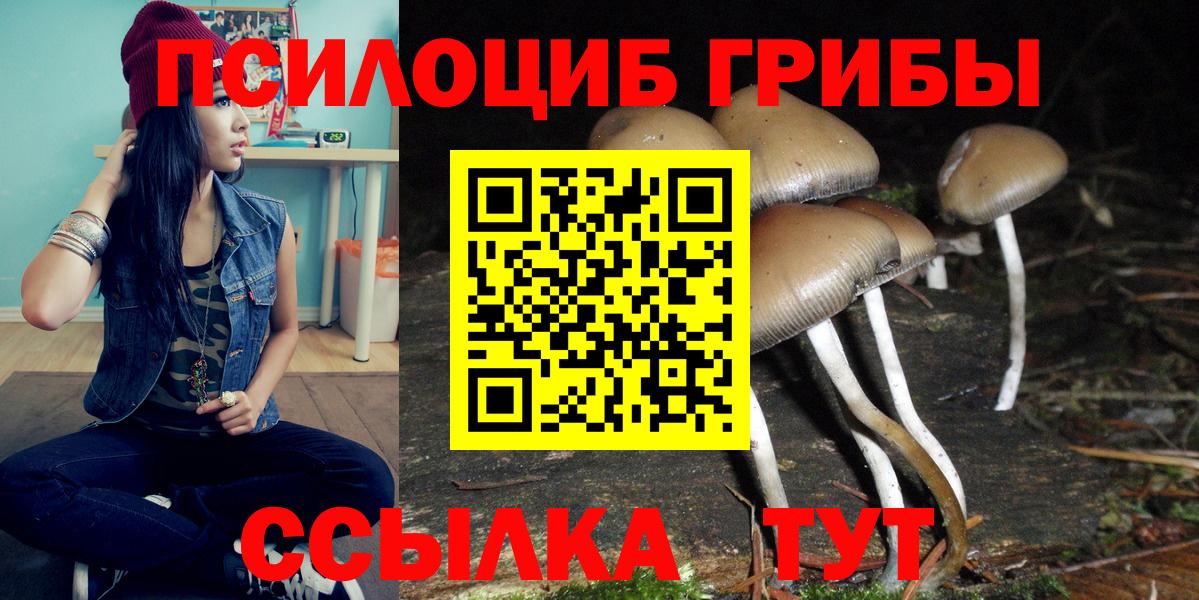 Галлюциногенные грибы MAGIC MUSHROOMS Сальск