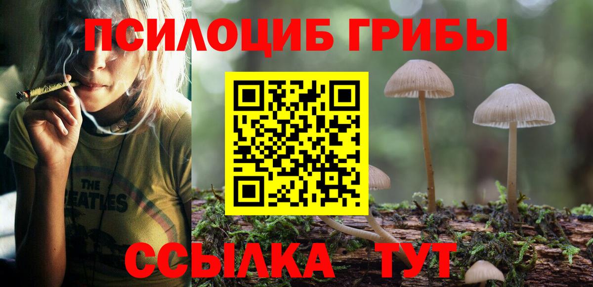 Сальск  Псилоцибиновые грибы MAGIC MUSHROOMS  Вход с VPN  Галлюциногенные грибы GOLDEN TEACHER 
