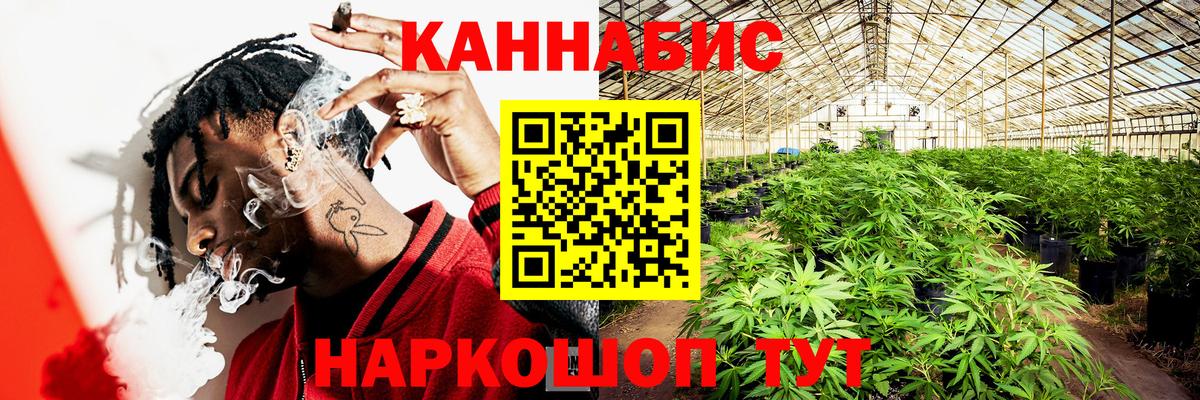 Сальск  Конопля Amnesia  Конопля Ganja  Каннабис Ganja  Вход с VPN 